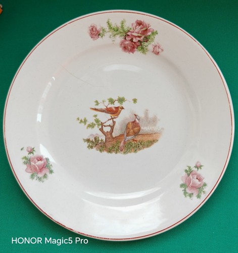 Florio ceramica piatto piano - florio,