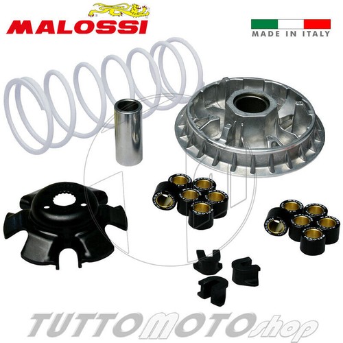 5119314 variatore malossi - 5119314,