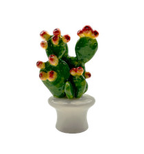 Piantina Fichi D'India