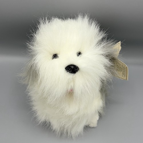 Russ scrubby vecchio cane - russ,