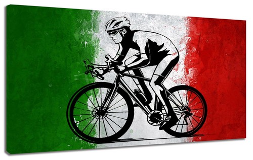 Quadro moderno bici tricolore - bici,