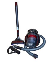 Dyson Big Ball Animal
