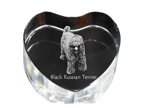 Terrier nero russo - nero, russkiy