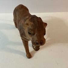 Statua leone vintage avvolta