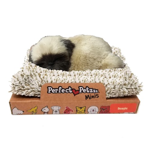 Perfect petzzz minis - petzzz, carlino