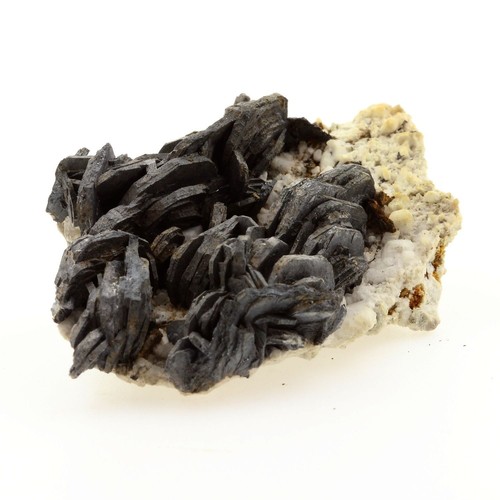Collezione minerali - collezione,