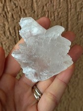 Minerali ** GESSO CODA DI