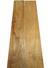 2x Canarino Legno Tarara