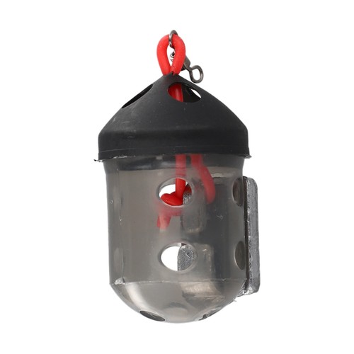 Mangiatoia carpa pesca esca - carpa,