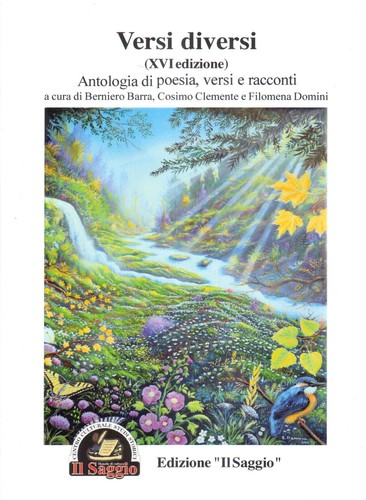 Libro versi diversi - libro,