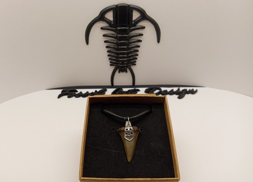 Fossil tooth shark - tooth, pendente