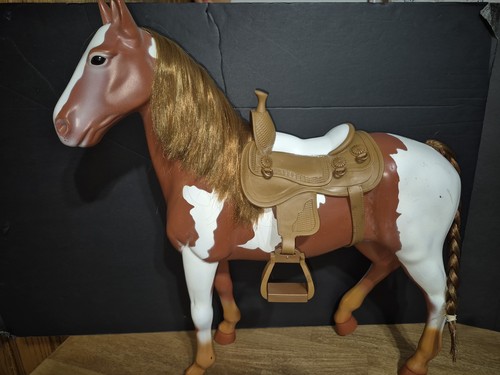 Cavallo appaloosa our - cavallo,