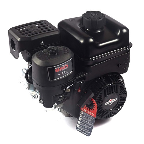 Motore briggs stratton - motore,
