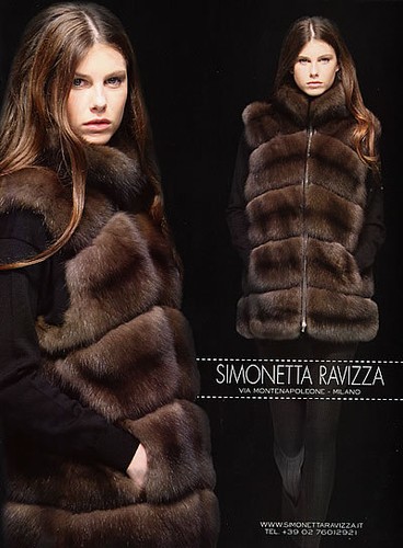 2008 simonetta ravizza - simonetta,