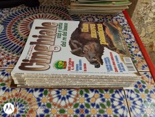 LOTTO 11 X CACCIA OGGI