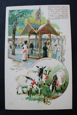 cartolina ESPOSIZ. NAZ. ALLEVAMENTO CANI GATTI ANIMALI... Corriere della Sera 5)