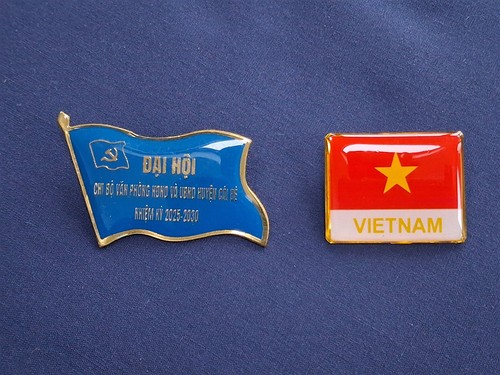 Vietnam badges communist - badges,