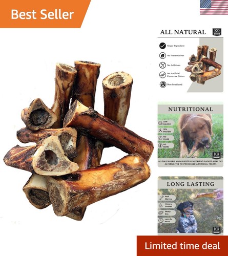 Ossa cane midollo - cane, di