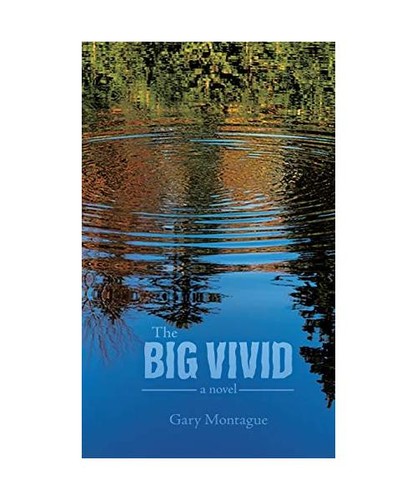 The big vivid - vivid,, gary