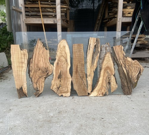 Tavole legno ulivo pezzi - tavole,
