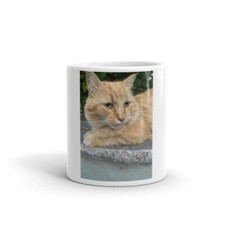 Red cat tazza gattino - cat,