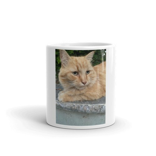 Red cat tazza - cat, gattino