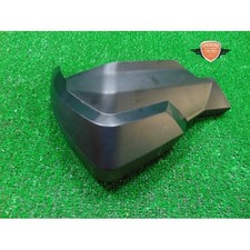 Paramani destro Triumph Tiger