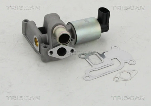 Valvola egr triscan 8813 24003 - egr,