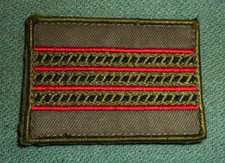 Gradi Pettorali adesivi