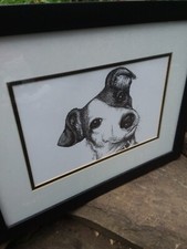 Stampa artistica Robbie the