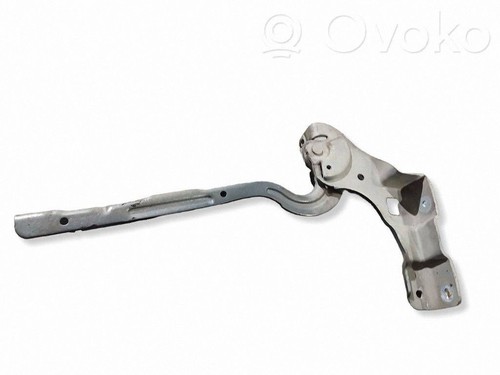 Cerniera cofano motore citroen - cerniera,