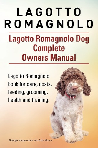 Lagotto romagnolo - lagotto,