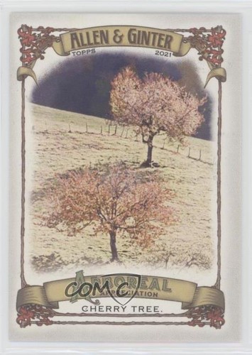 2021 topps allen - topps, ginter's