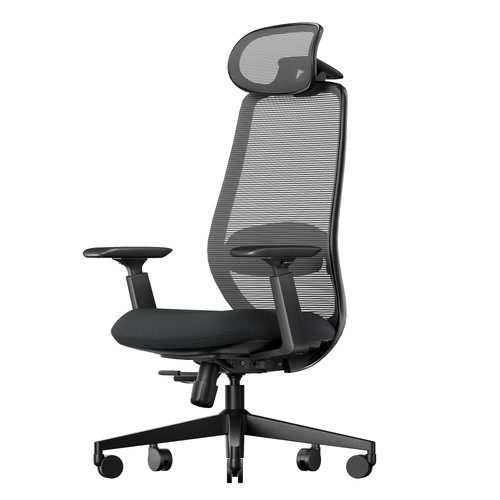 Sedia ufficio ergonomica - da,