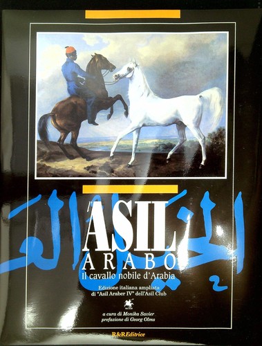 Asil arabo il cavallo - arabo.,