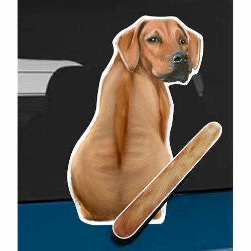 Rhodesian ridgeback rear car - rear,