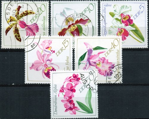 Ddr alemania oriental serie - oriental,
