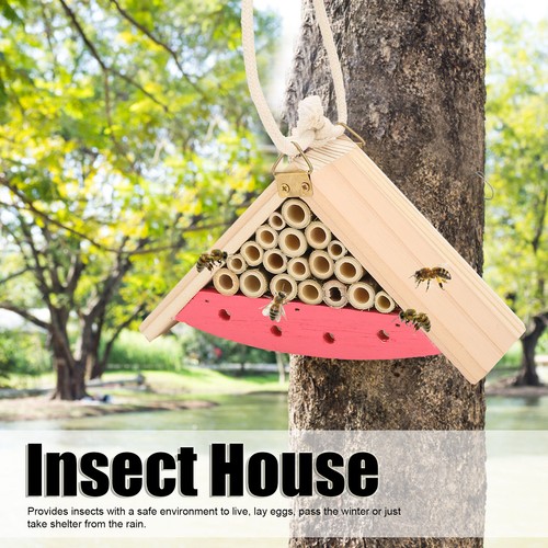 Casetta per insetti legno - casetta,