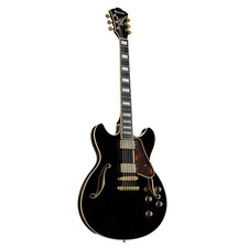 Ibanez Artcore Expressionist