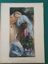 Incisione su Acciaio Colorata