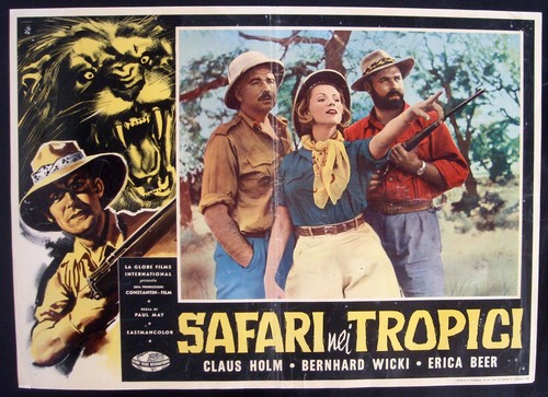 Cinema fotobusta safari - safari, nei