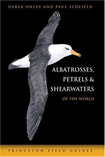 Albatrosses petrels and - albatrosses,,