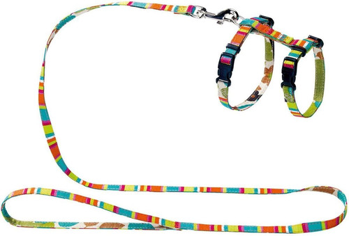 Hunter cucciolo gatto - &, set