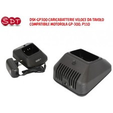 DSK-GP300 CARICABATTERIE