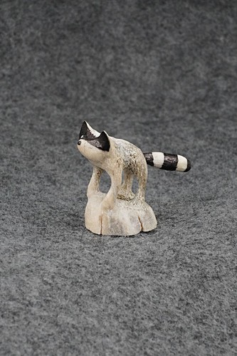 Raccoon zuni scultura fetish - zuni,