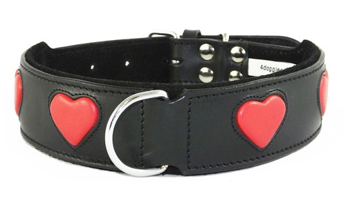 Collare cane nero staffie - cane,