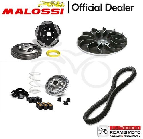 Kit malossi variatore - malossi,