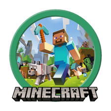 Server Dedicato Minecraft -