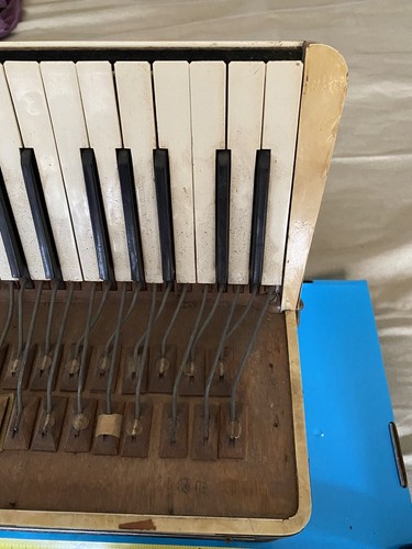 Fisarmonica vintage hohner - fisarmonica,