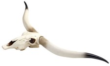 Teschio di mucca decorativo HWC-D32, testa di toro toro testa di animale corno lungo poliresina 103 x 43 x 11 cm